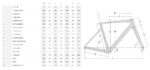 Bicicleta de carbono Focus IZALCO, color Rojo Tintado / Negro Metalizado - Imagen 2